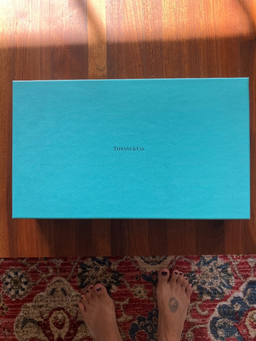 Tiffany & Co python clutch - Picture 2 of 11